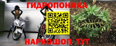 прущие грибы Лесосибирск