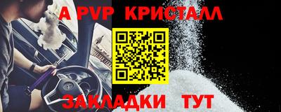 стаф Кунгур